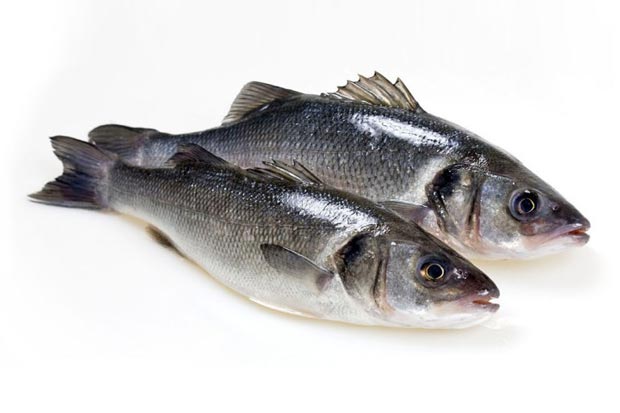 Качество рыбы определяется по ее внешнему виду