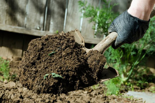 Перекопка почвы сильно тормозит процесс накопления гумуса