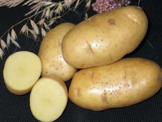 картофель из истинных семян - kartofel iz istinnykh semyan